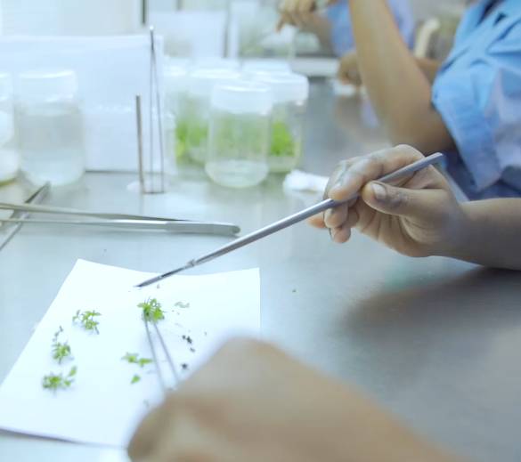 TNPL research institute linkage