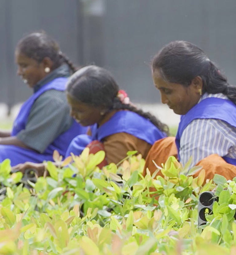 employees family care