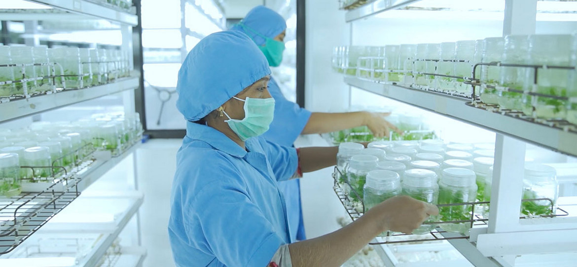 TNPL product and quality development