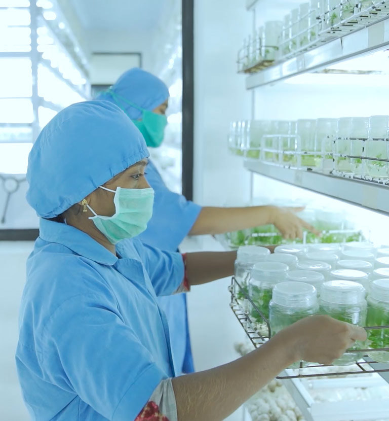 TNPL product and quality development