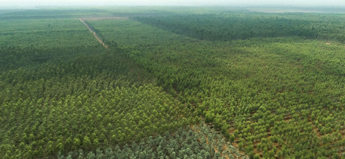 TNPL promoting sustainability