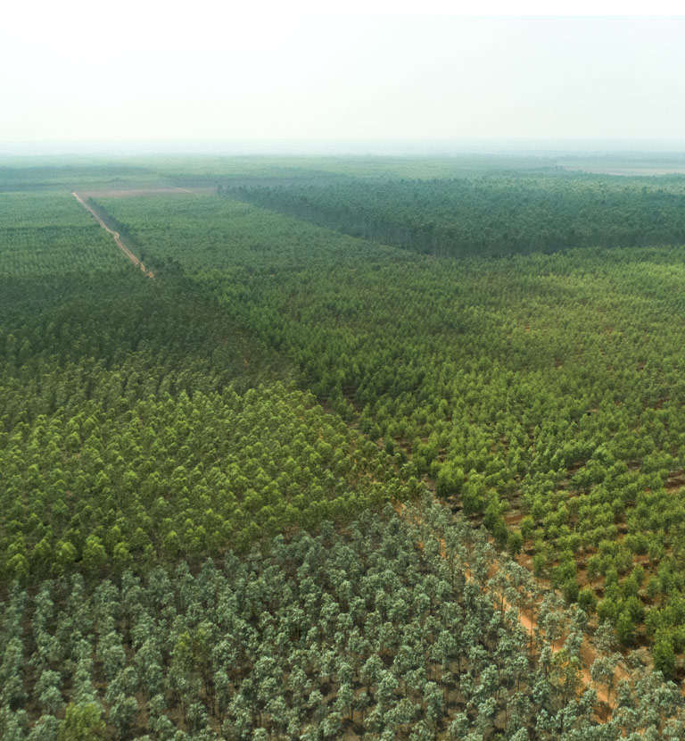 TNPL promoting sustainability