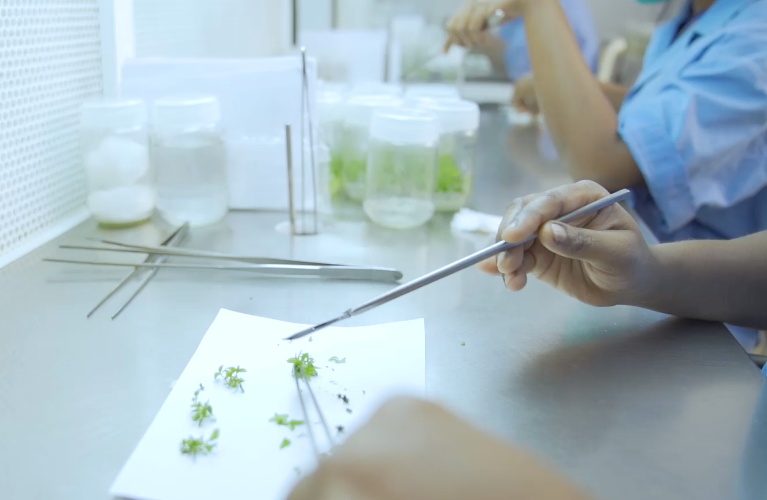 TNPL research institute